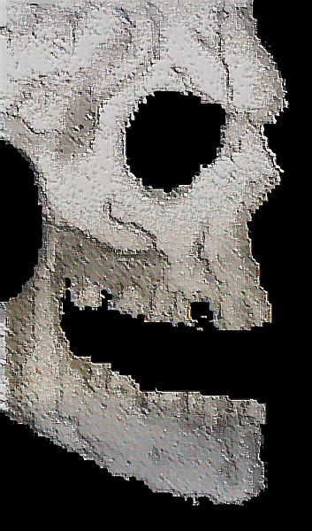 Skull grained3b.jpg
