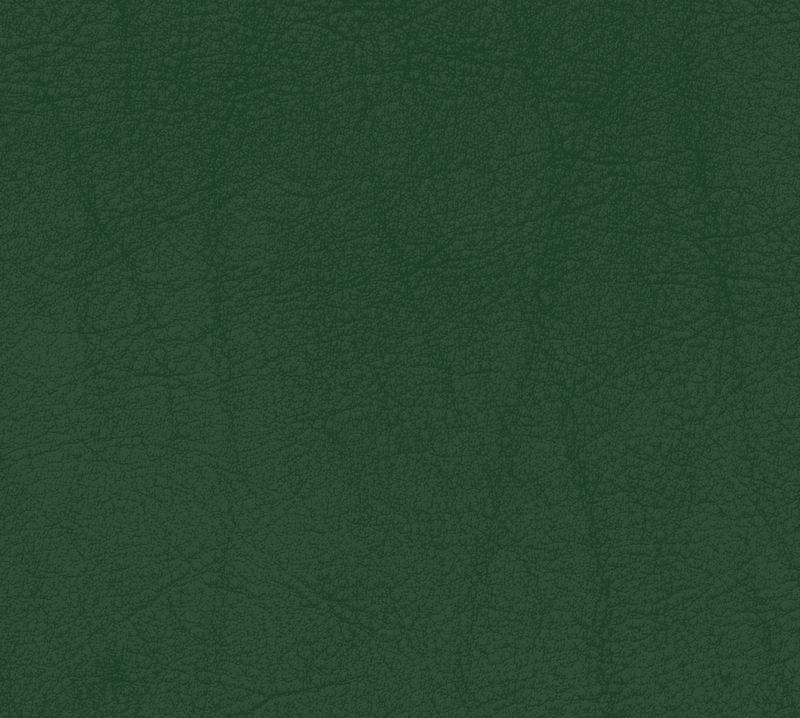 _Campo-green-20815.png