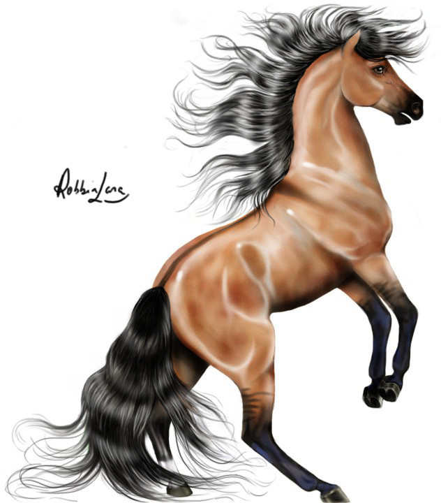 cavalo horse smokey.jpg