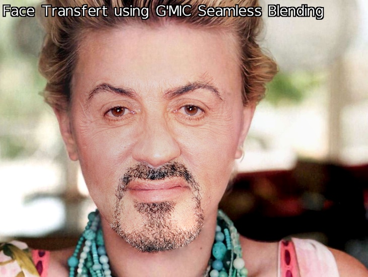 gmic_face_transfert_000002.jpg