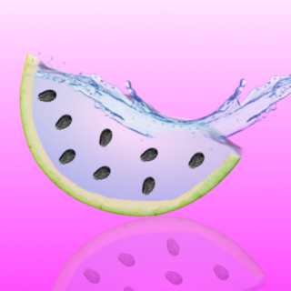 Water Melon Profile Pic.png