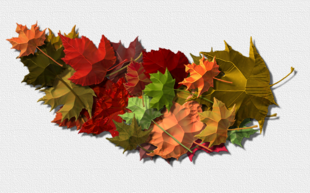 BRL Fall leaves.png