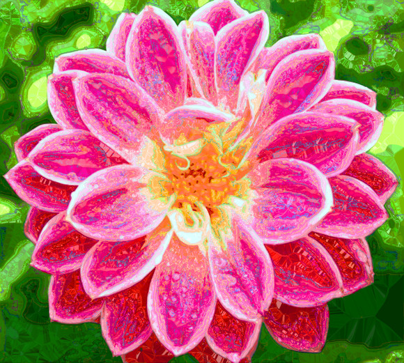 pink-flower-36colours.jpg