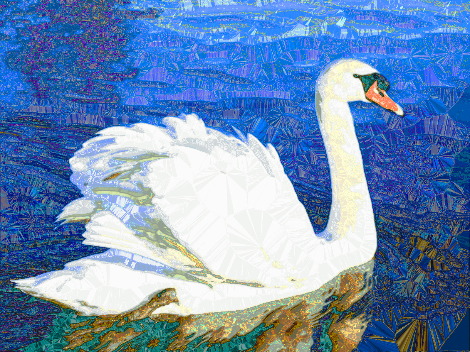 swan-20colours.jpg