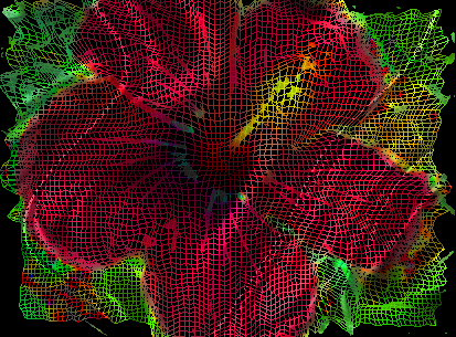GC2.Hibiscus.jpg