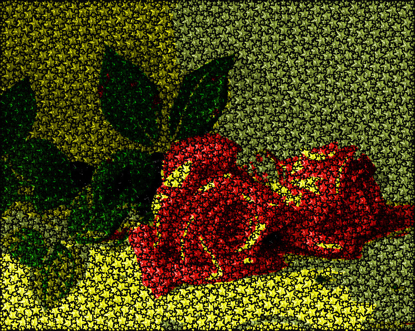 flowers-rosas-overlap3.jpg