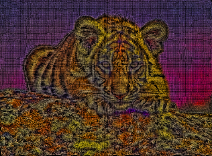 Bengal Tiger Wiremap Lyle.jpg