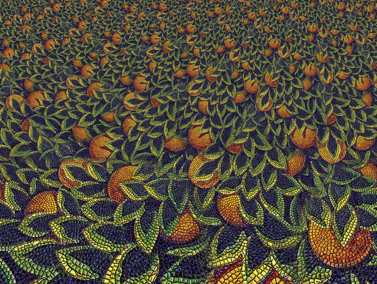 nectarines.jpg