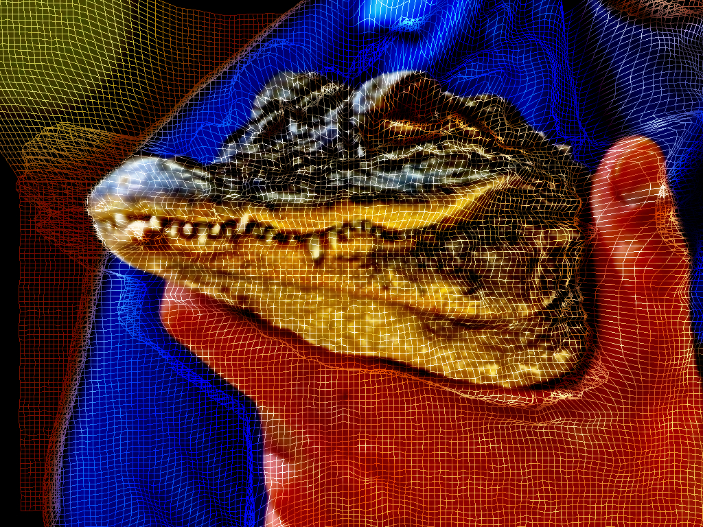 DN GC2 Alligator.jpg