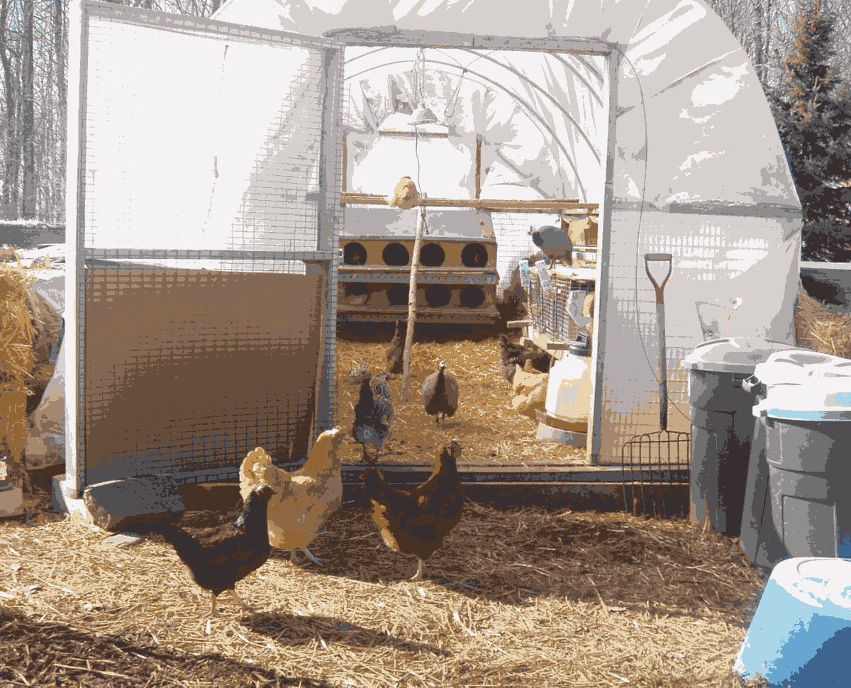 chicken house sg-quantize.png