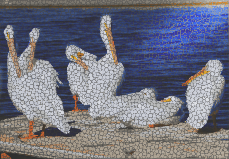 PelicansFun Mosaic.png