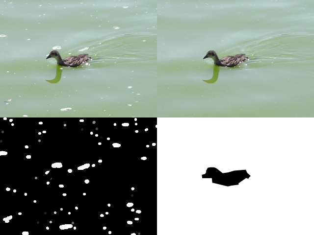 duck-example.jpg