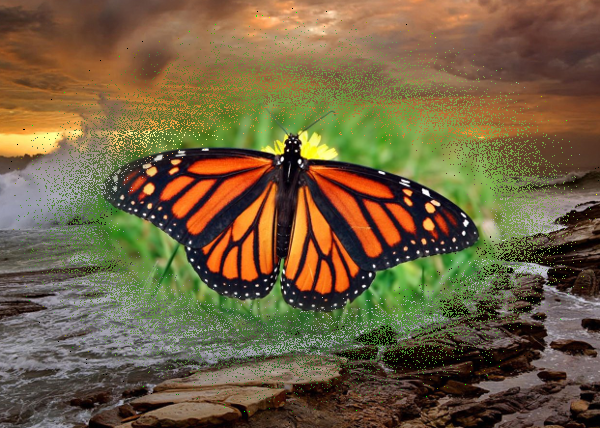 dissolved_butterfly.png