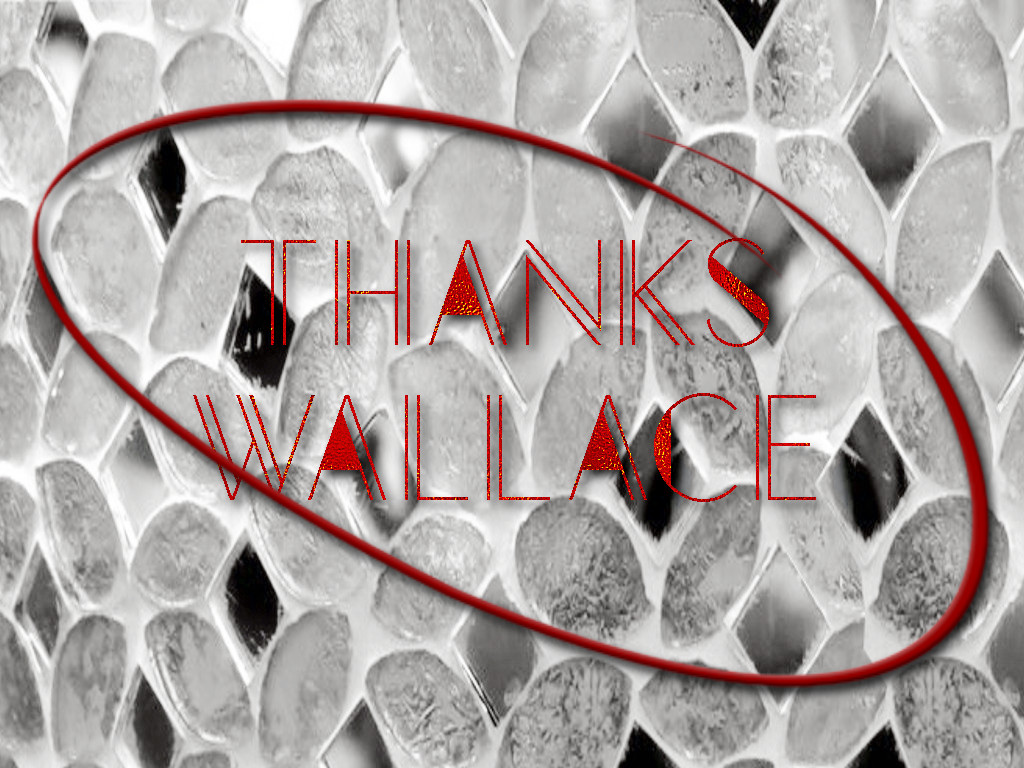 Thanks Wallace.JPG