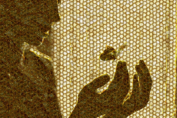 bianco-e-nero_as-a-golden-mosaic.jpg