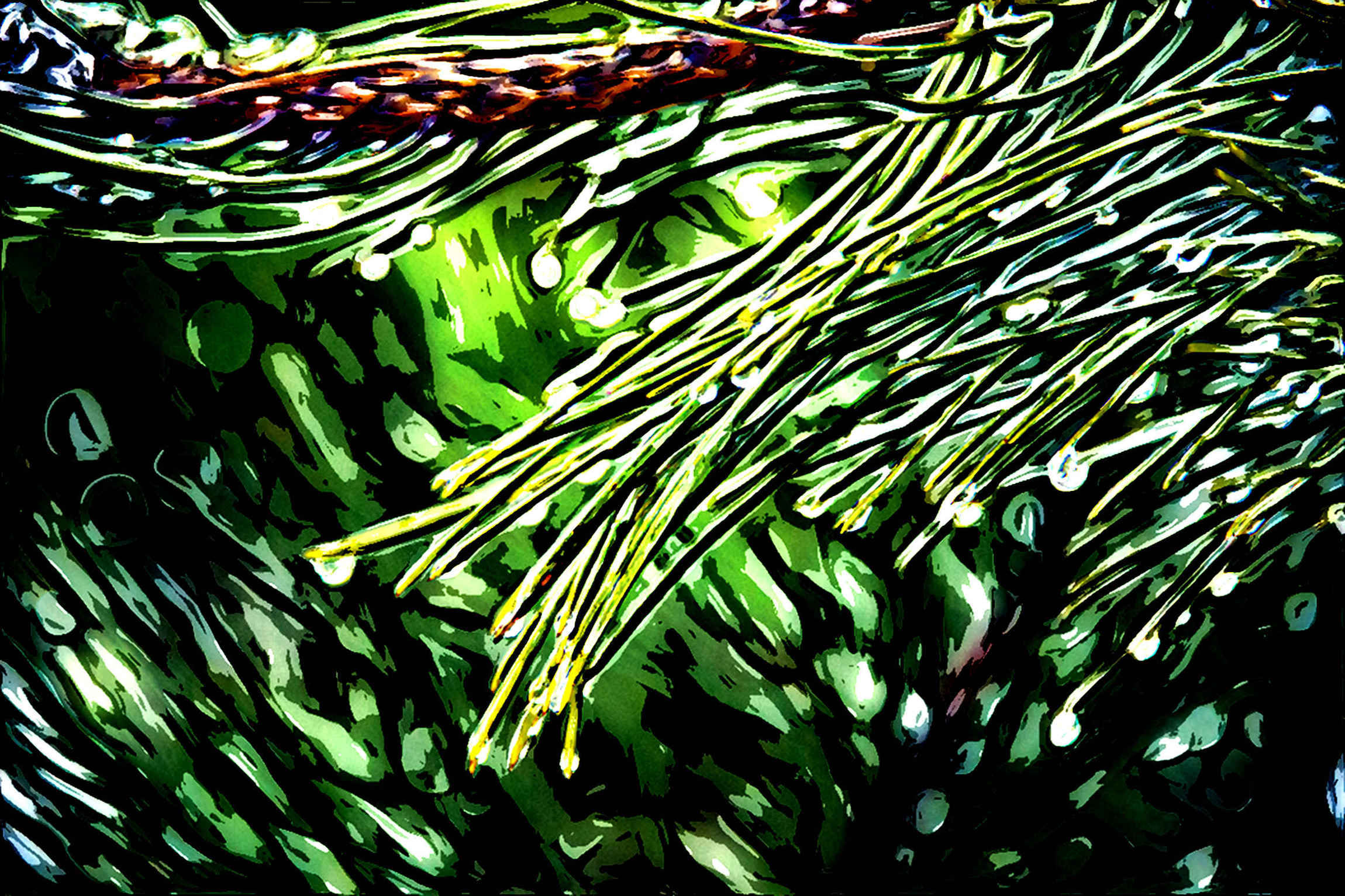 nature-tree-green-pine_Flamboyance processed width 1166 .jpg