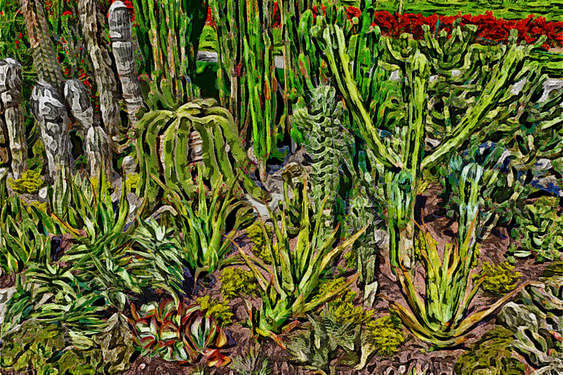 cactus-1524230_1920_Flamboyancelc.jpg