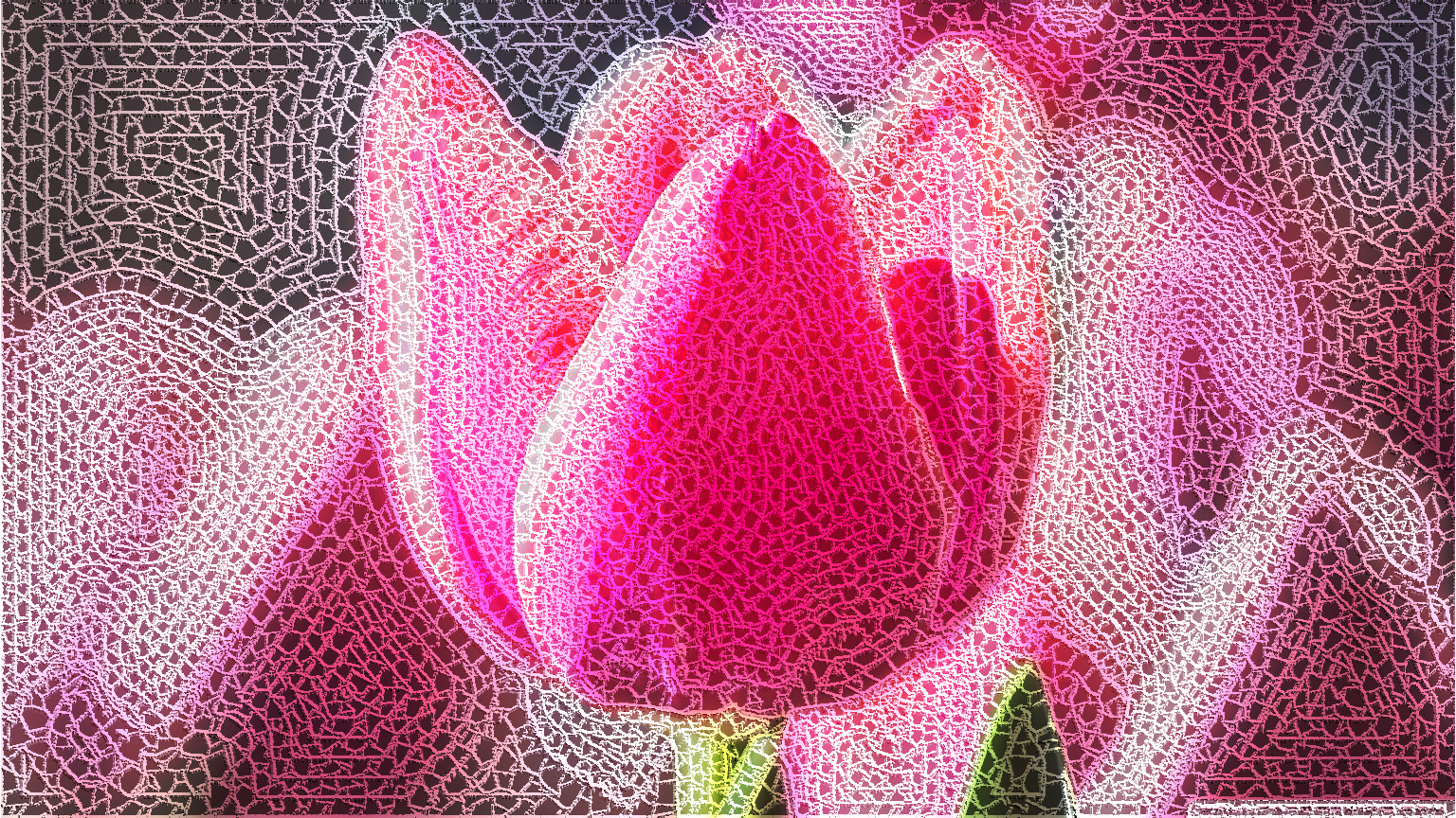 cute_pink_tulip_DN_Source on Crochet.jpg
