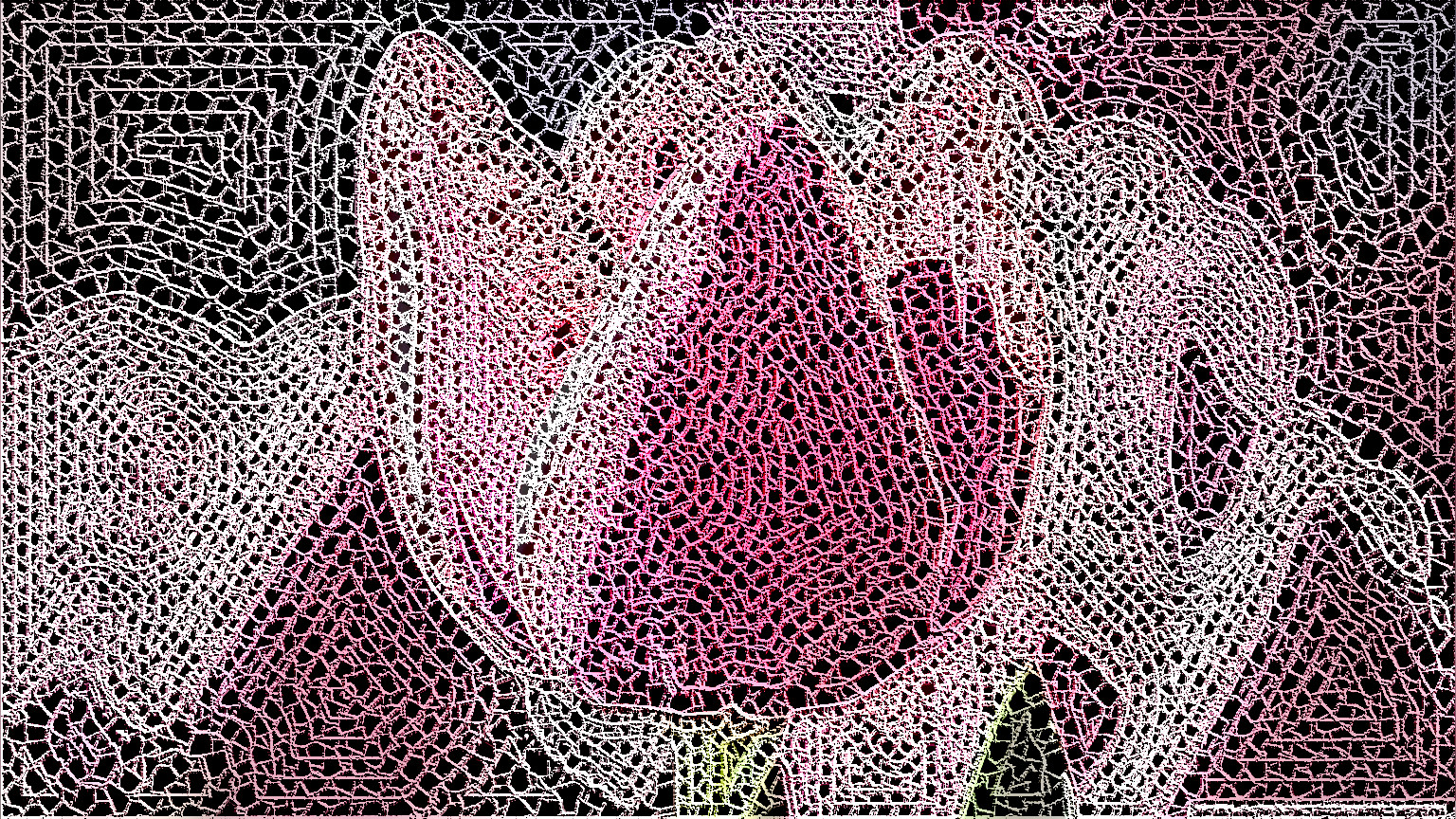 cute_pink_tulip_DN_Combo_Crochet.jpg