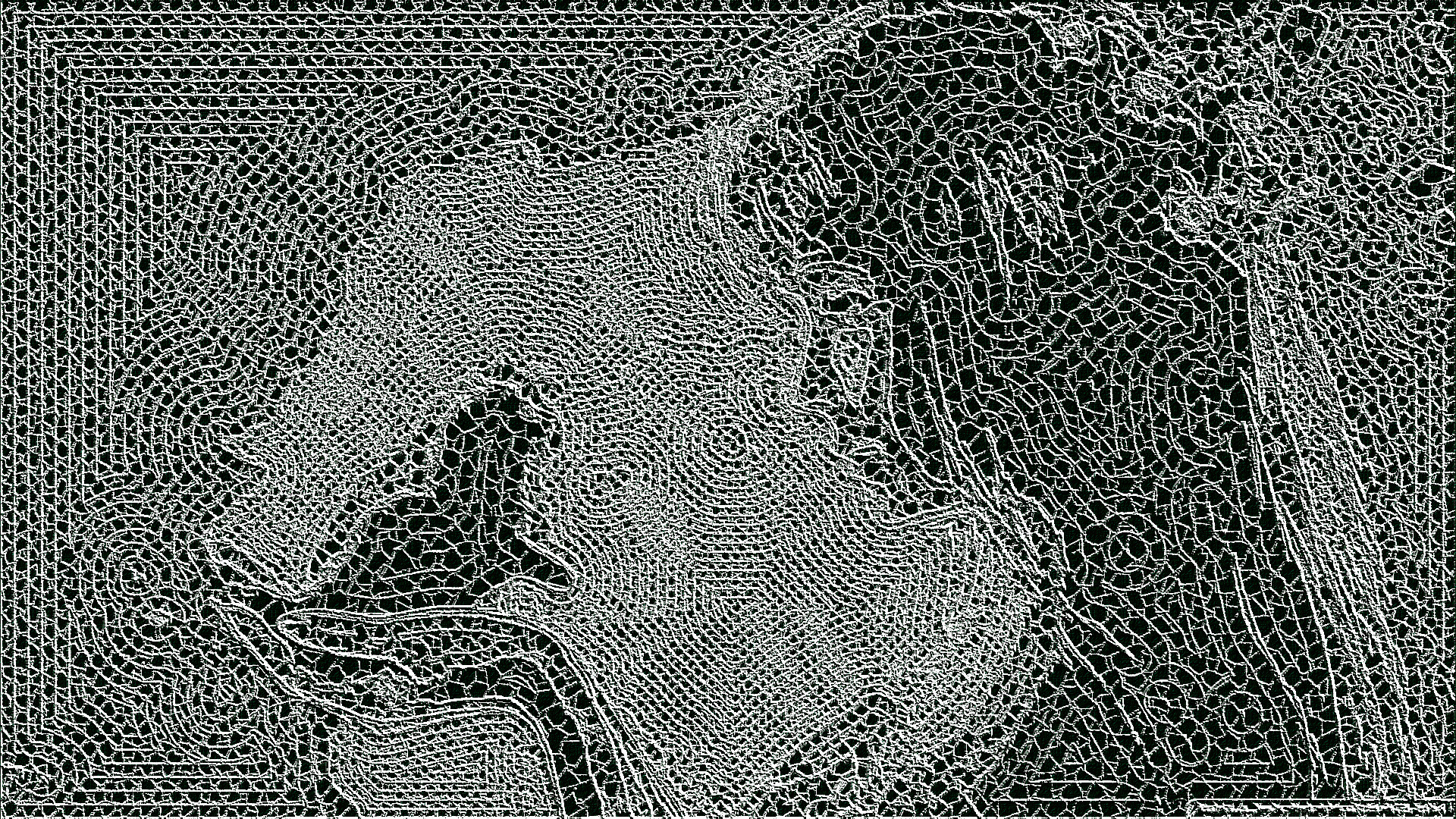 realistic_kitten_drawing_DN_White Crochet.jpg
