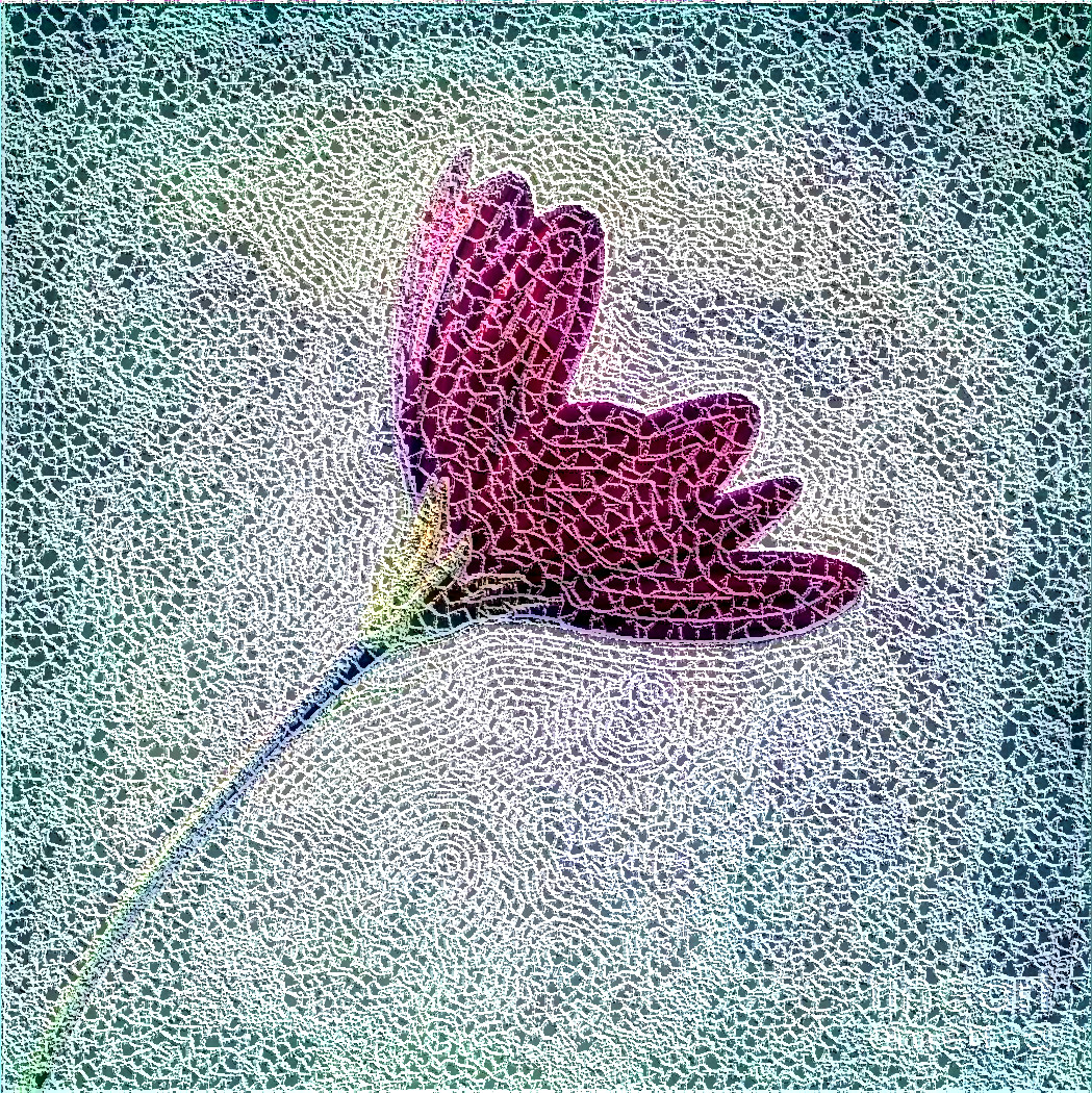 Flower1_CrochetonSource.JPG