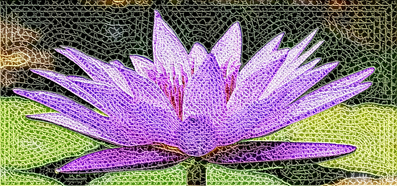 water-lily-1585178_1280_Crochet on source_auto-generated_White.jpg
