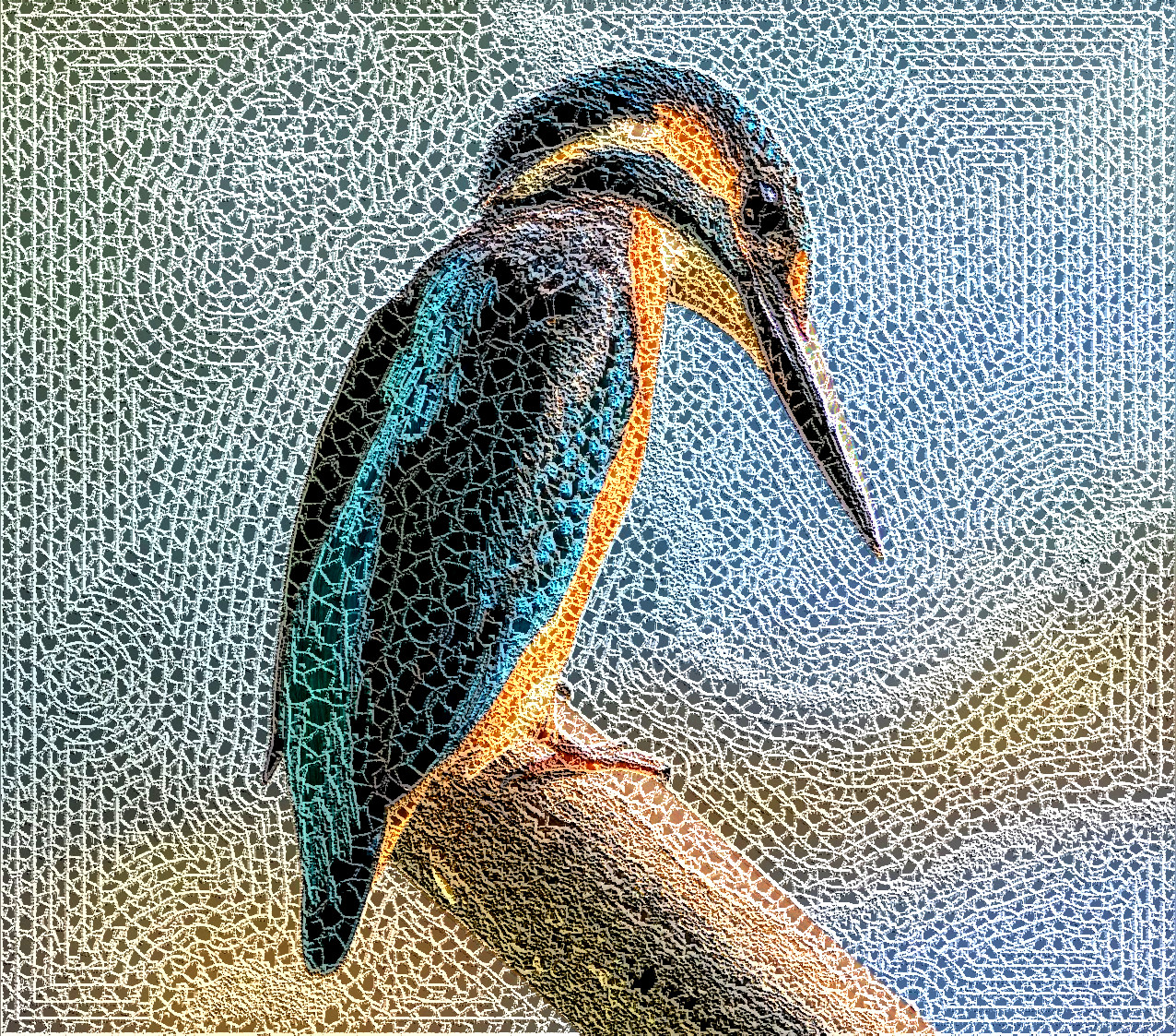 kingfisher_Crochet on Source.jpg