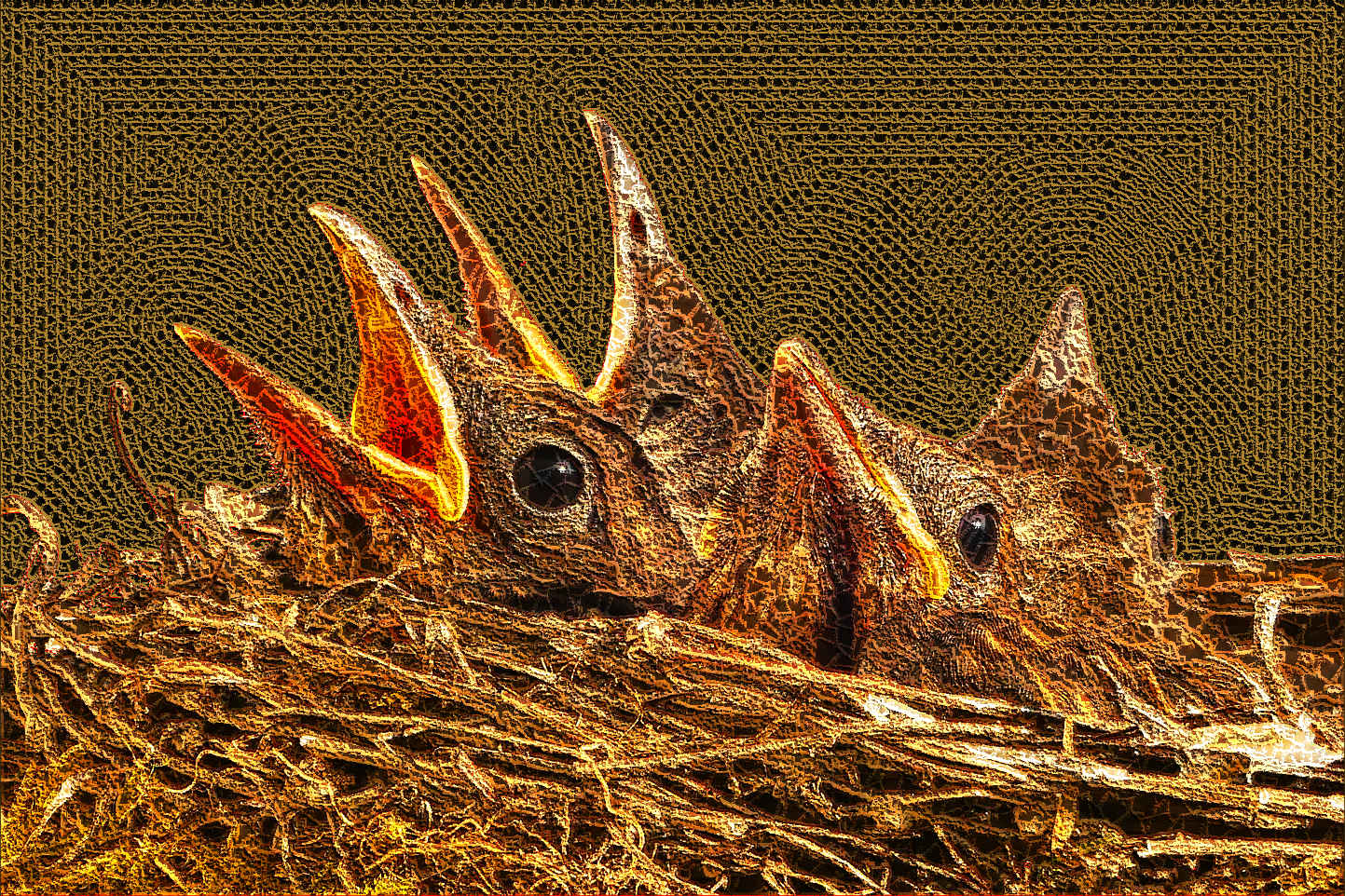 bird-754677_1920_extacted, as a Crazy Crochet (colour areas =5) (source on crochet).jpg