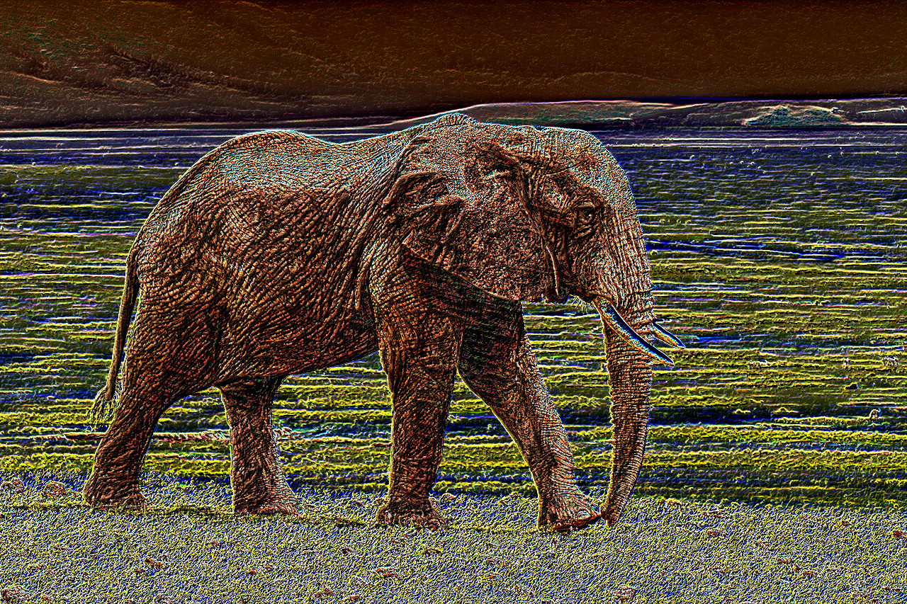 elephant-1421167.jpg