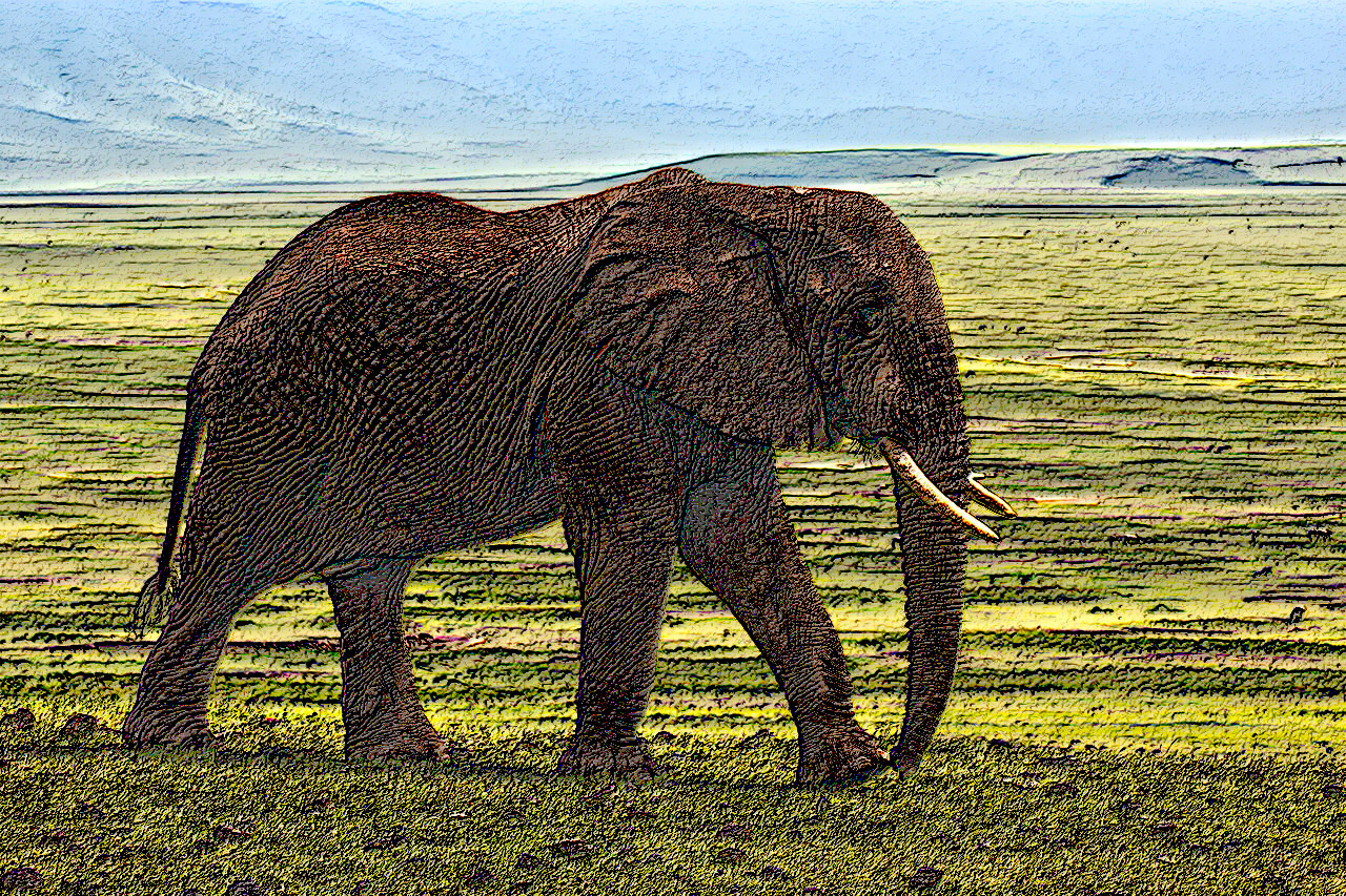 elephant-1421167_1280_Rod.jpg