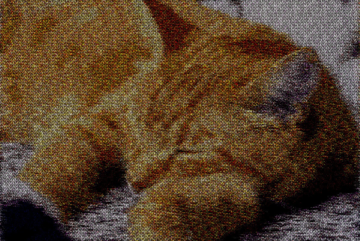 2017-10-03 15-31-20 sleeping_kitties_are_the_best__by_lucytherescuedcat-d8ijsys, having a knitted look, on 13 colour areas.jpg
