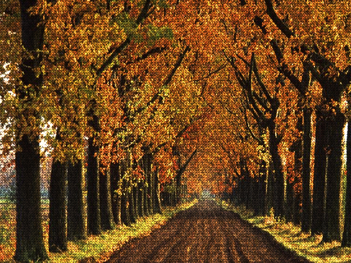 Dinasset.Knitted.AutumnCountry Road.jpg