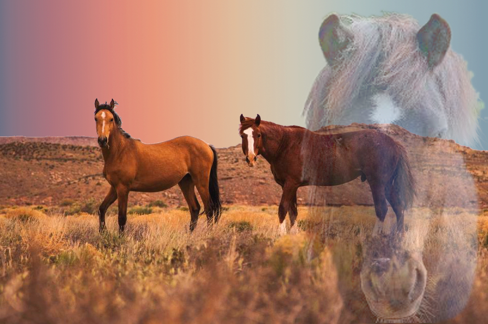 Double Exposure Effect.horses.jpg