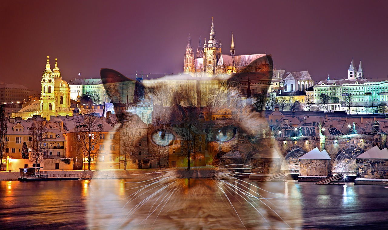 Cat in Prague-DoubleExposureEffect_Issa.jpg