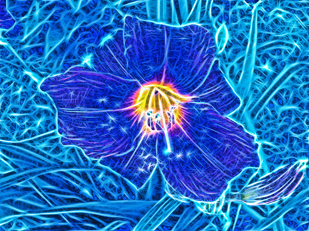196_lab-compose-yellow-blue-flower.jpg