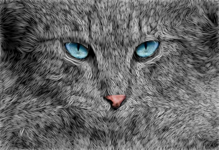Lyle.Samj.Wicker Cat 2.jpg