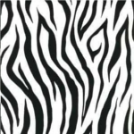 zebra_1.jpg