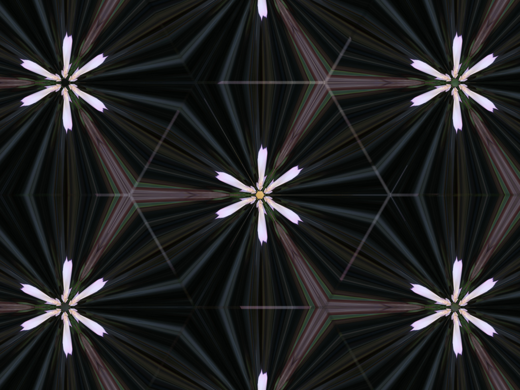 Tin Tran_Kaleidoscope.Rose 1.jpg