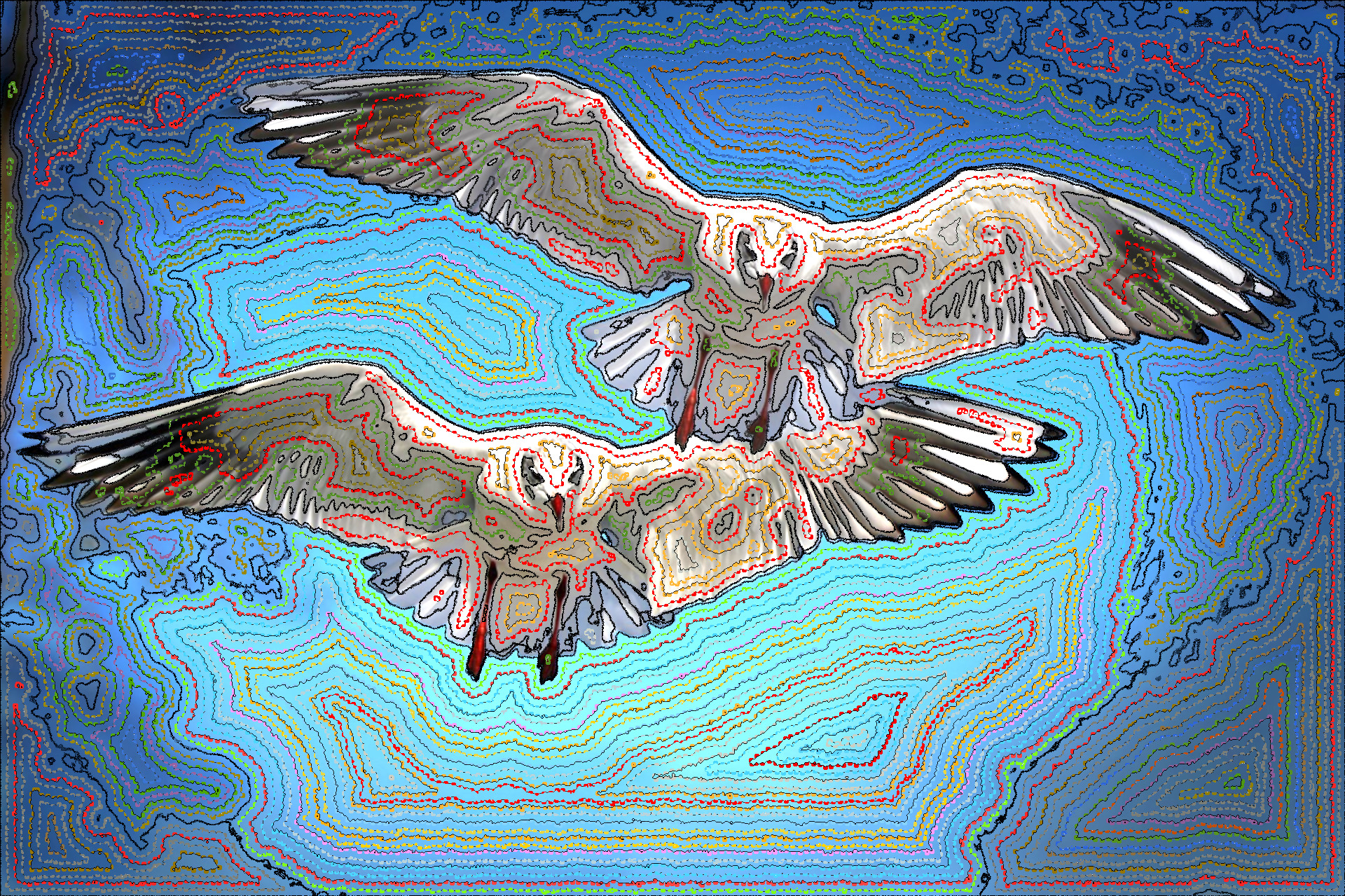 Gulls_DN_DrawFollowBorders_Palette_Gimp-2.10.jpg