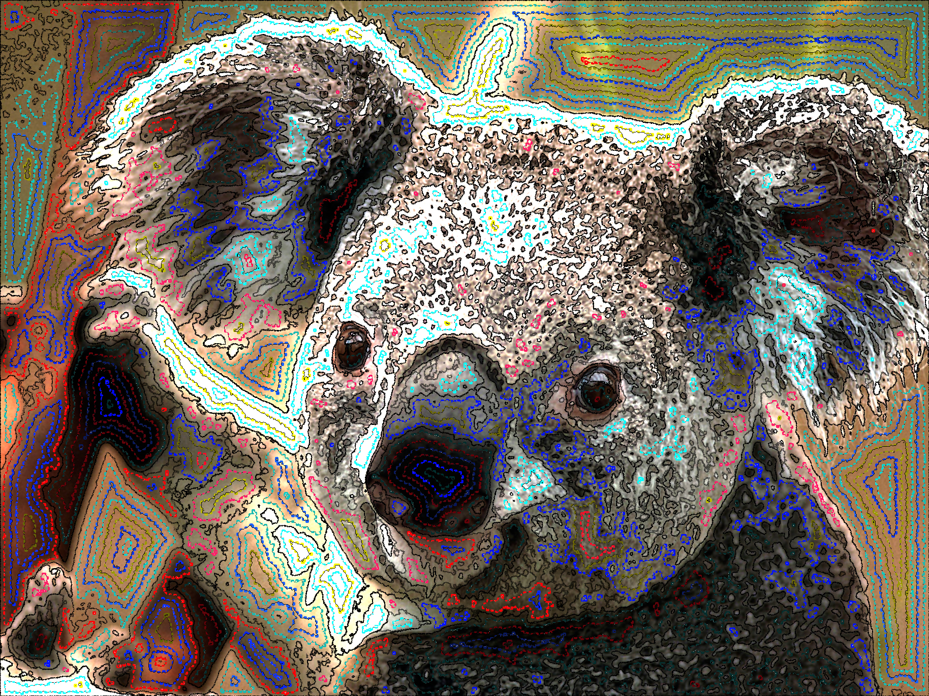 Koala_DN_DrawFollowBorders_Gradient_Gimp-2.10.jpg