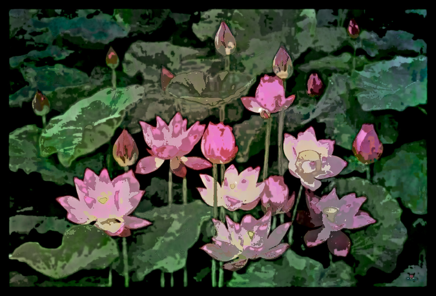 marvelous-best-lotus-blossoms_DN_AquaLook_GimpEval-2.jpg