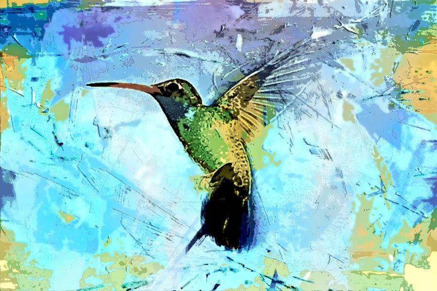 bird-hummingbird-2506075_DN_AquaLook.jpg
