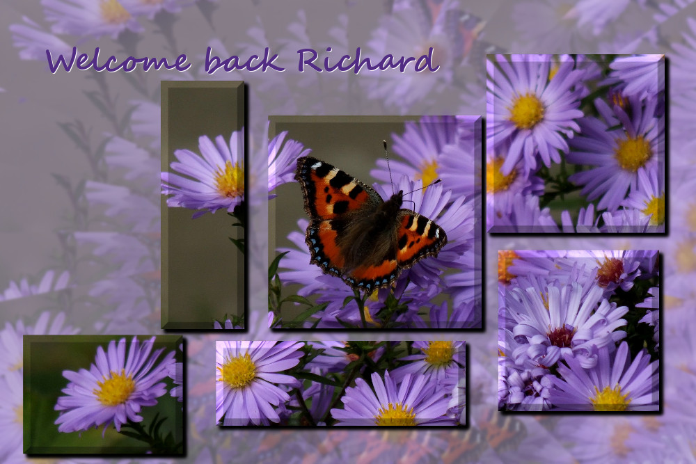 WelcomeBack_Richard.jpg