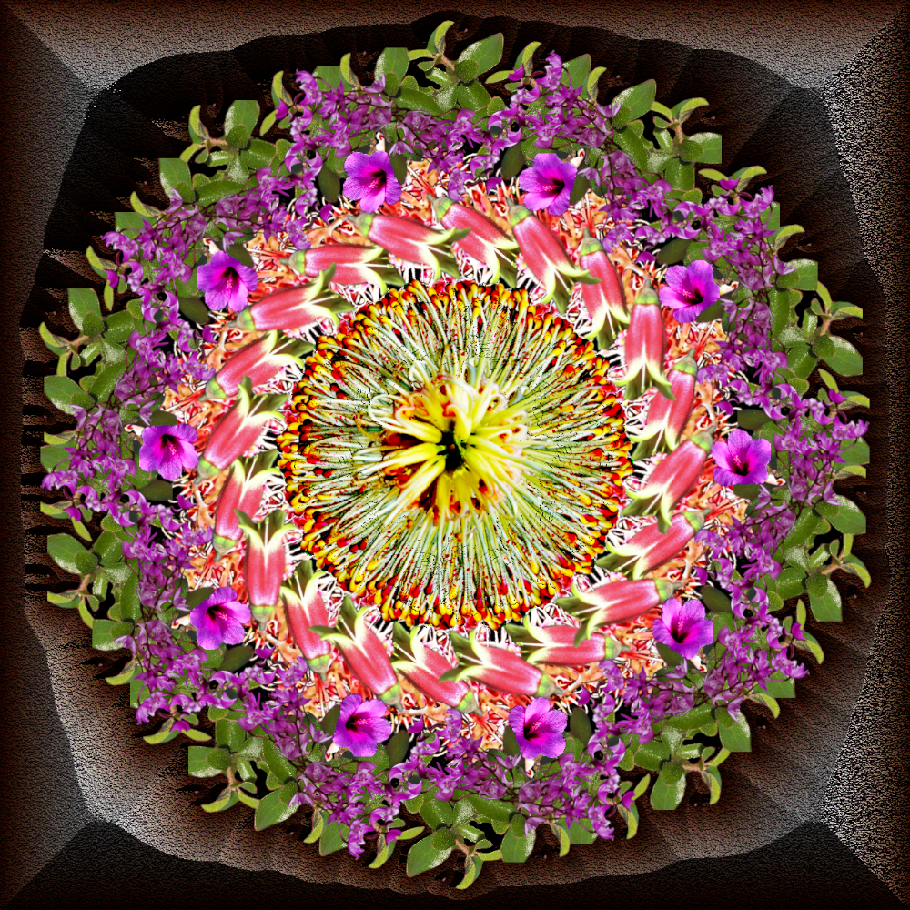 symmetry_ozflower_mandala.png