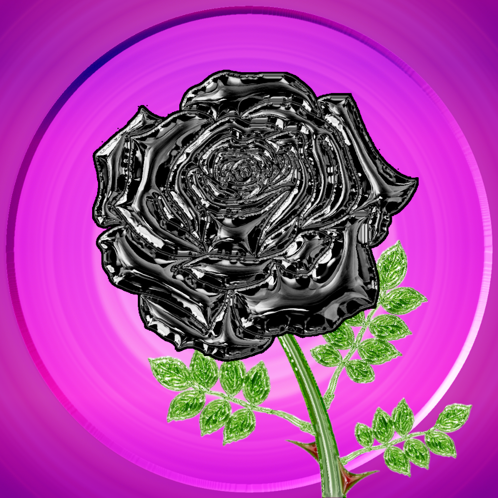 black_rose.png