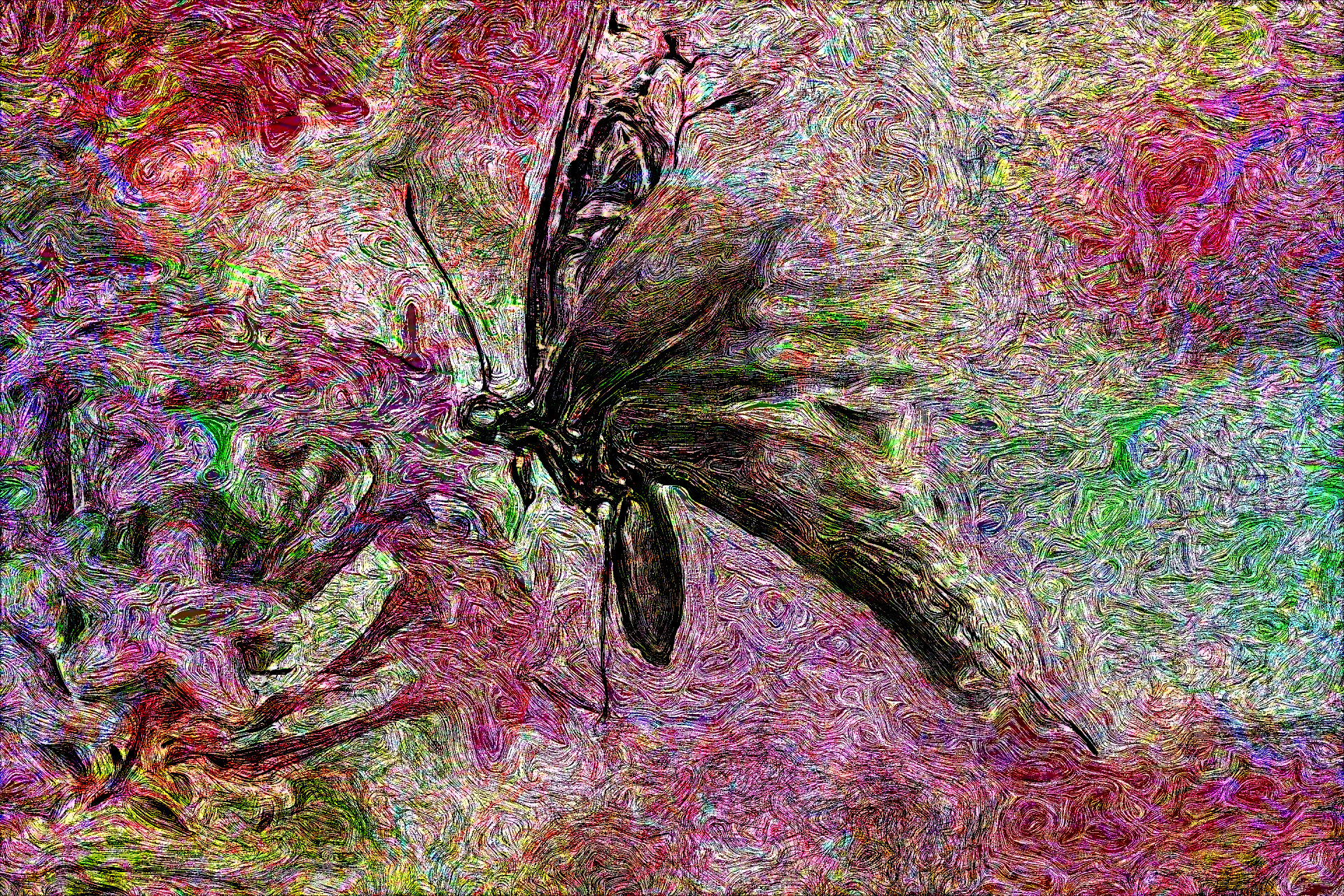 butterfly-4745166_DN_EngravedByVangoh_Issa.JPG