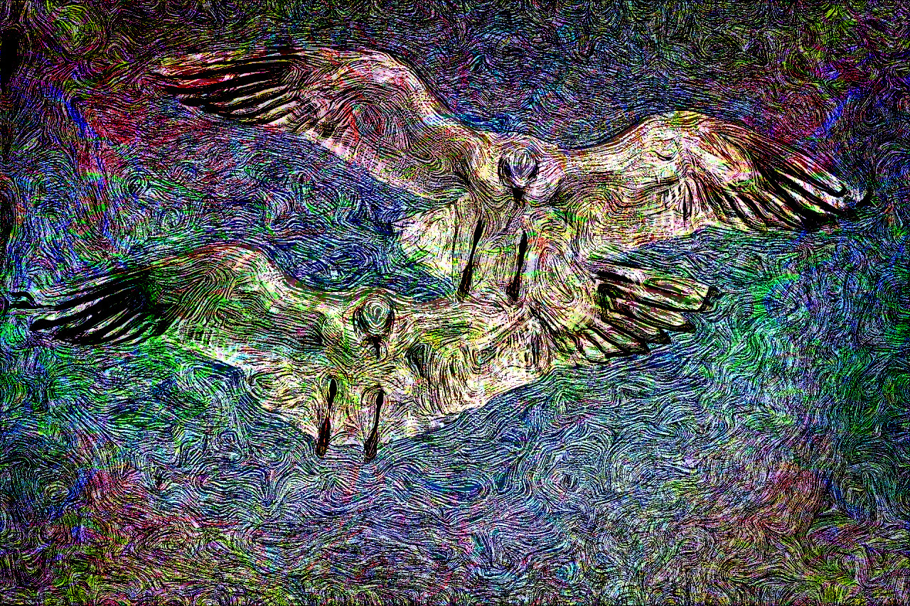 gulls-654046_DN_EngravedByVangoh_Issa.JPG