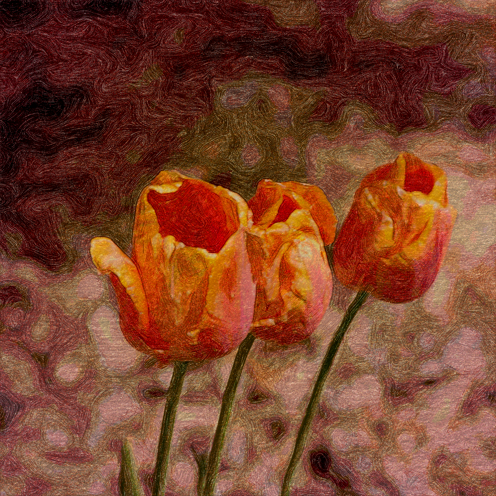 tulips_mayfield_vg.png