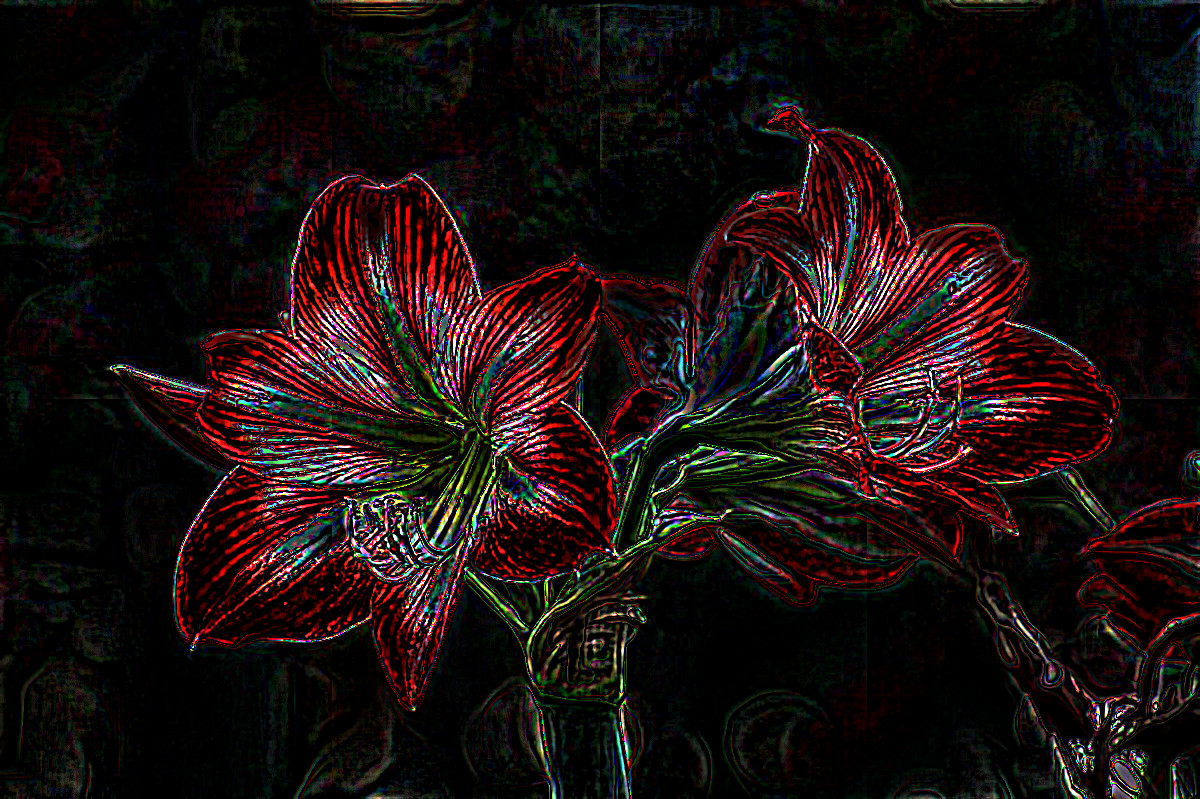bokeh-photo-of-white-and-red-flowers-696996_DN_SoftColourPencilsOnBlack_Issa.JPG