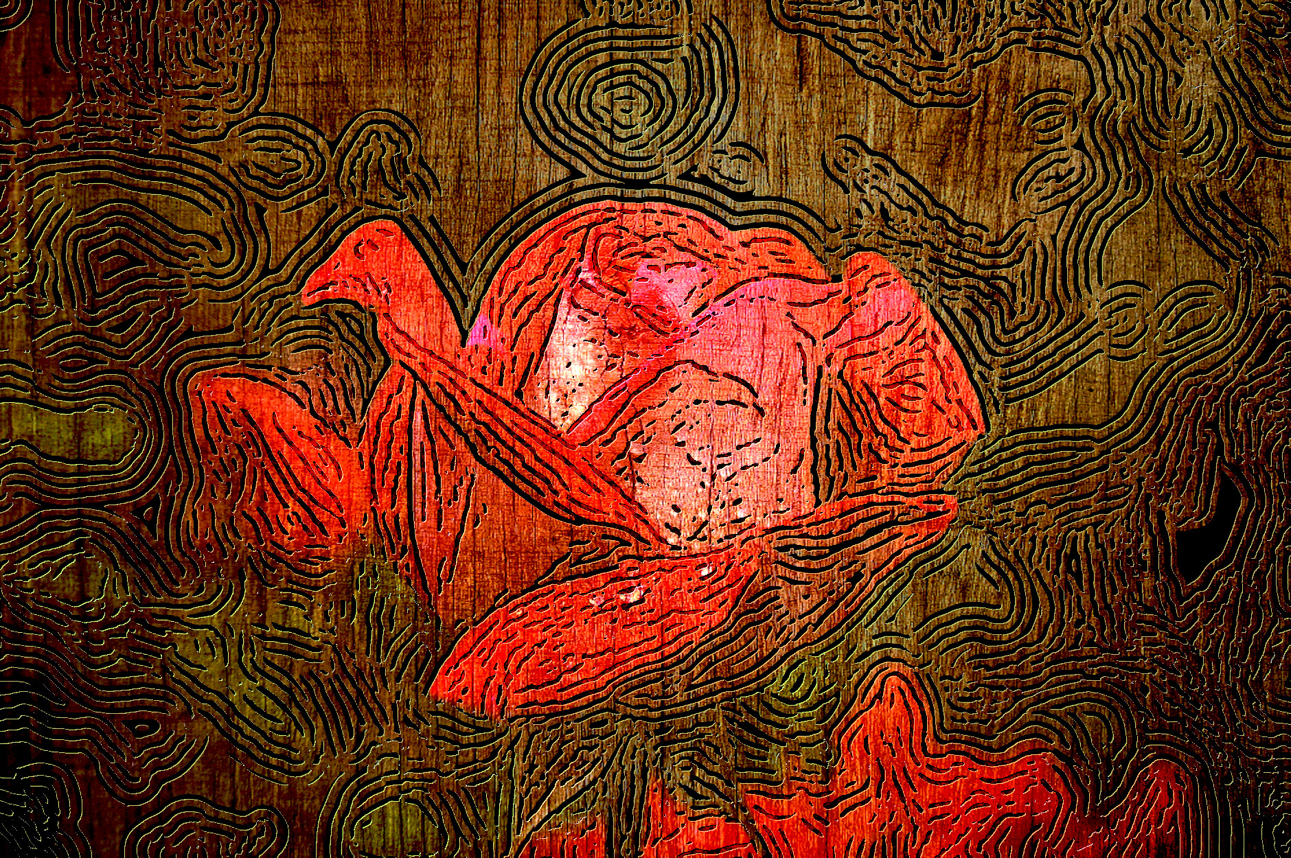 2020-02-07 05-49-15garden-rose-red-pink-56866 as a drawing engraved on Wood Wood_26.jpg, option dark, hard, touched up on top.jpg
